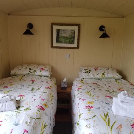 Rhydydefaid Cwt Clyd - Cosy Hut Villa Bala Ngoại thất bức ảnh