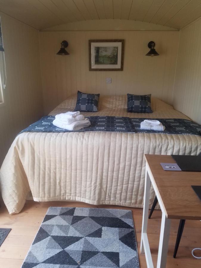 Rhydydefaid Cwt Clyd - Cosy Hut Villa Bala Ngoại thất bức ảnh