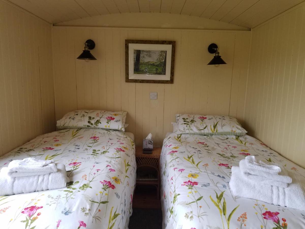 Rhydydefaid Cwt Clyd - Cosy Hut Villa Bala Ngoại thất bức ảnh